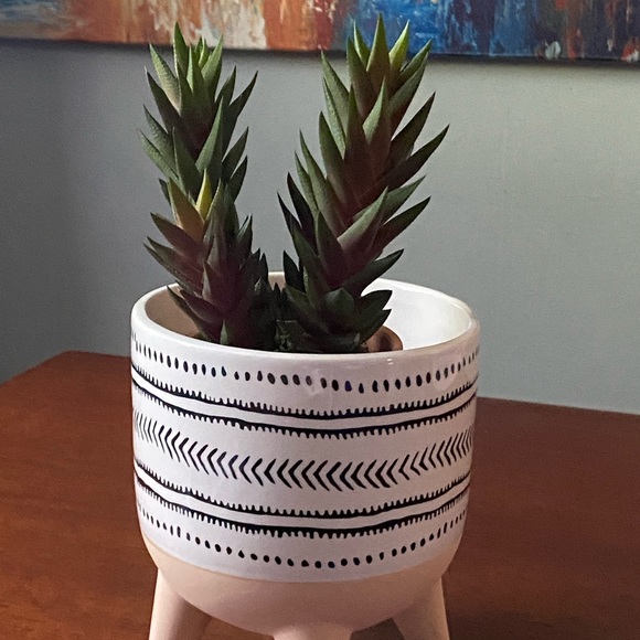 Mid-Mod Boho Geometric Ceramic Planter / Plant Pot - Picture 10 of 12